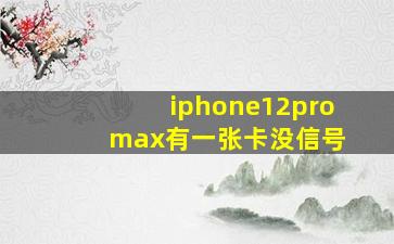 iphone12pro max有一张卡没信号